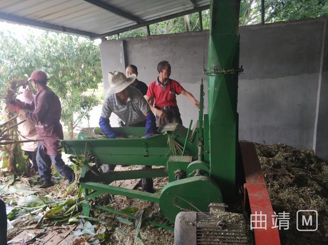 沾益:白水镇构建新型种养关系促进群众增收